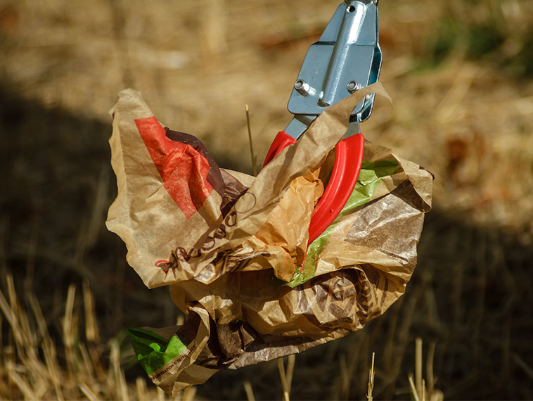 Local Groups Help Clean Up City’s Creeks, Green Spaces 