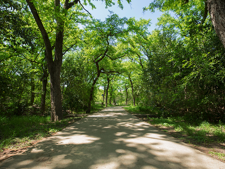 YMSL Helps Beautify Nature Trail