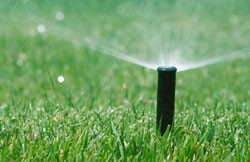 Summer water conservation plan in effect