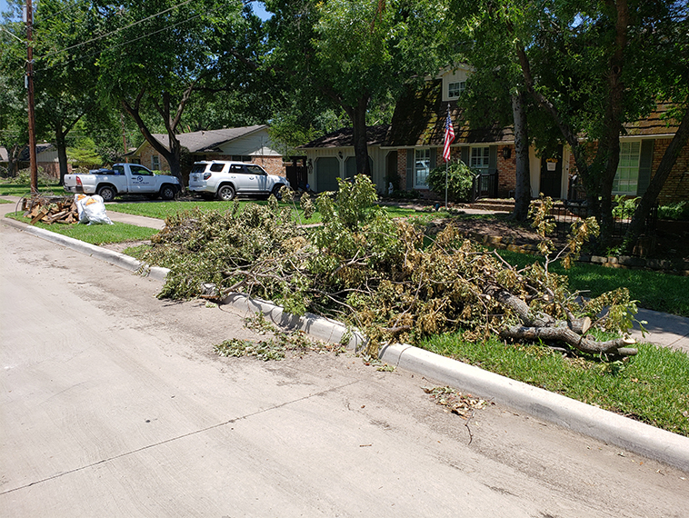 Downed Trees Find New Life as Mulch, Compost