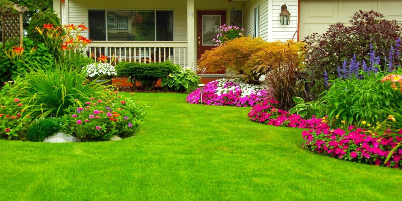 Prevent High Water Bills with “Water My Yard”