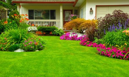 Prevent High Water Bills with “Water My Yard”