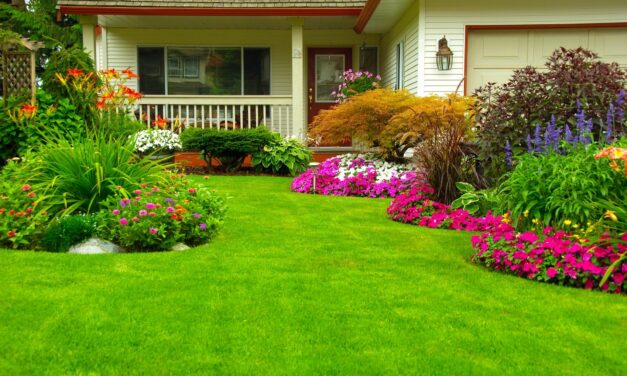 Prevent High Water Bills with “Water My Yard”