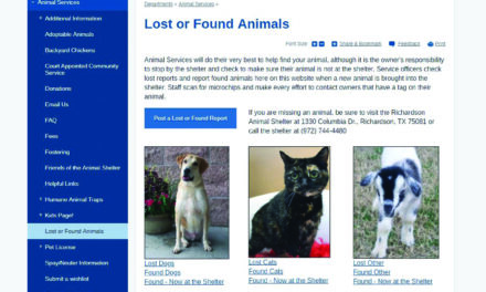 Shelter website aids owners in finding lost pets