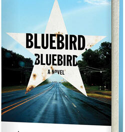 Paint a Bluebird at RROB Activity Aug. 24