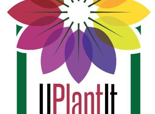 Time to Order Next “UPlantIt” Garden