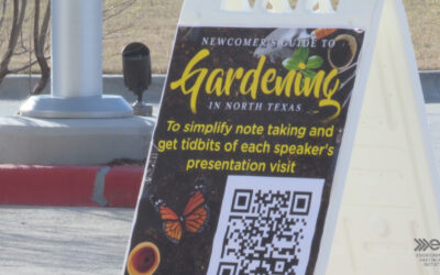 Newcomers guide to gardening in north texas