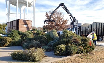 Tree Cycle Your Christmas Tree through Feb. 2 