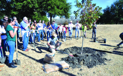 Celebrate Arbor Day Year-Round with City’s Tree Planting Program