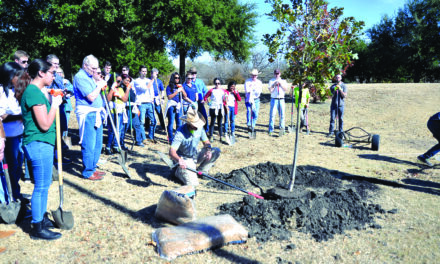 Celebrate Arbor Day Year-Round with City’s Tree Planting Program