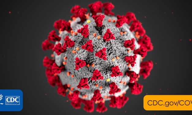 Free Federally Provided COVID-19 Test Kits Now Available Online 