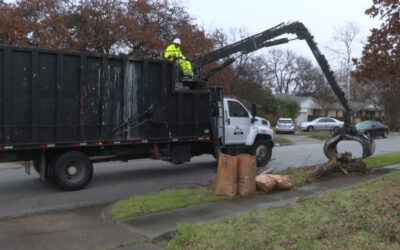 BABIC Service Available for Large Items, Yard Trimmings (Within Size Limits) 