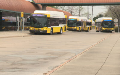 DART Seeking Community Feedback on Bus Network Redesign