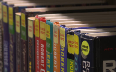 The Richardson Public Library earns statewide Excellence Award