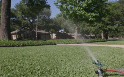 TRWD Offers Free “Tough Texas Plants” Workshop Thursday 