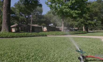 Set Lawn Sprinklers to “Manual”