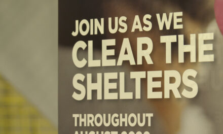 “Clear the Shelter” Event Clears Shelter to Lowest Levels in Memory