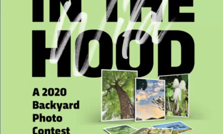 Texas Parks & Wildlife Backyard Photo Contest through Aug. 31