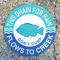 Reminder: Keep Paint Away from Storm Drains