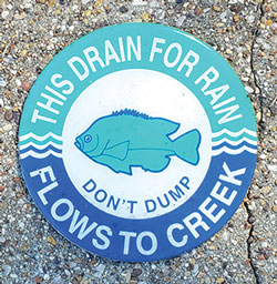 Reminder: Keep Paint Away from Storm Drains