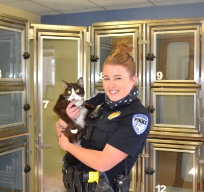 Animal Shelter Pet of the Week