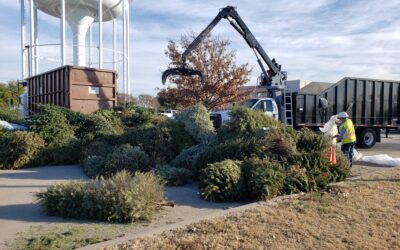Tree Cycling Begins Dec. 22