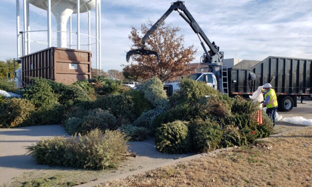 Tree Cycling Begins Dec. 22