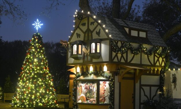 Zoom Tour of Dallas Arboretum Dec. 11