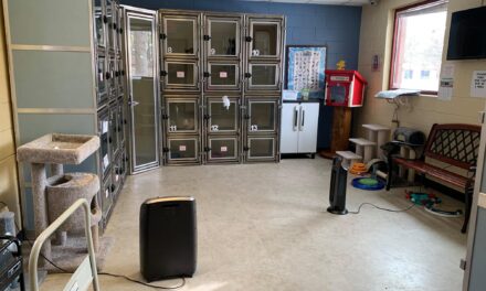 generator helps keep animal shelter lights on and pets warm during winter weather event