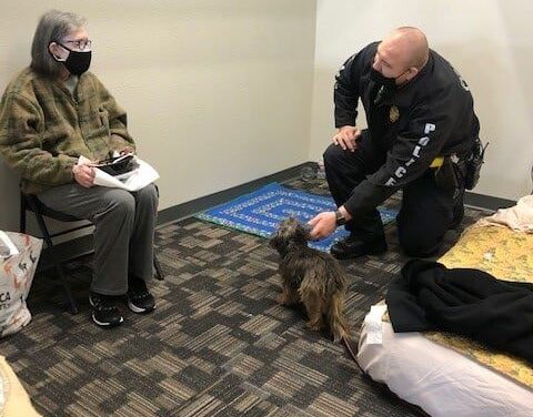 richardson police perform welfare checks