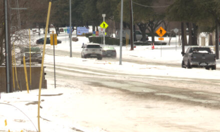 what to do with winter weather debris