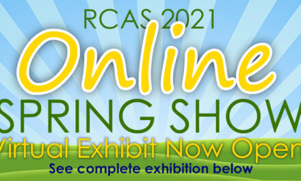 Richardson Civic Art Society Spring Show Online through April 10