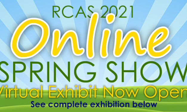 Richardson Civic Art Society Spring Show Online through April 10