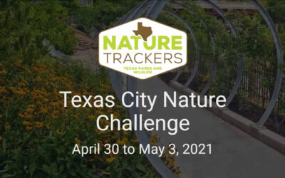 Texas City Nature Challenge Begins April 30