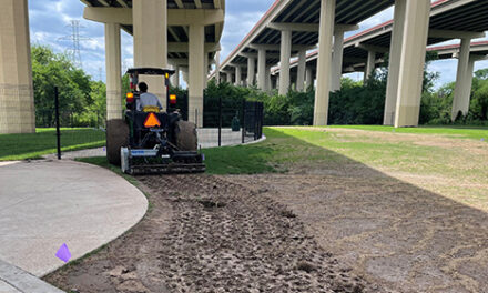 Dog Park Closed May 11-12 for Turf Revitalization