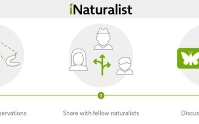 Statewide Nature Challenge Begins Today