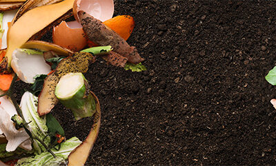 Free Online Composting Class Available Beginning Sept. 25 