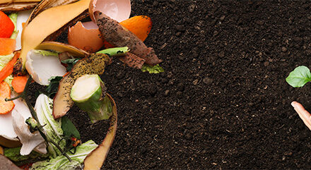 Free Online Composting Class Available Beginning Sept. 25 