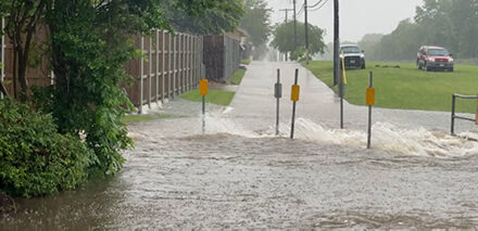 City Responds to Heavy Rains