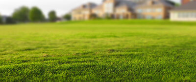 What to Do About “Storm Spots” on Grass 