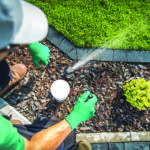 New City-wide Watering Schedule Has Begun 