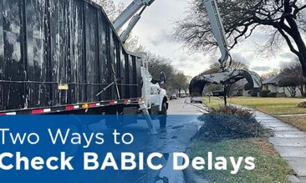 City Offers Two Ways to Check BABIC Delays