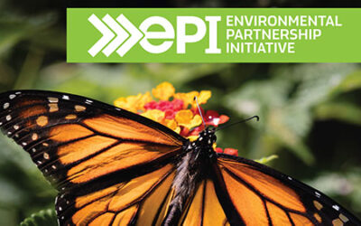 City’s Butterfly Gardens Ready for Monarch Migration