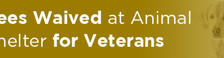 Fees Waived at Animal Shelter for Veterans