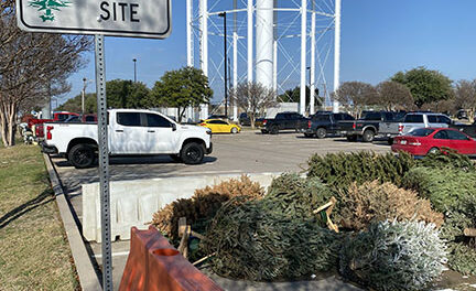 Tree Cycle Your Christmas Tree through Feb. 1