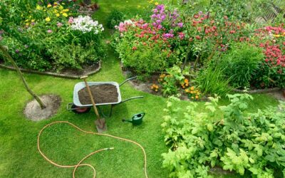Learn About Landscaping with Biodiversity Feb. 19