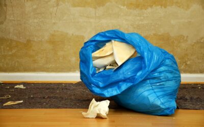 Recycling Tips and Free Blue Bags for America Recycles Day