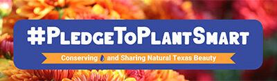 NTMWD Sponsors “Pledge to Plant Smart” Photo Contest