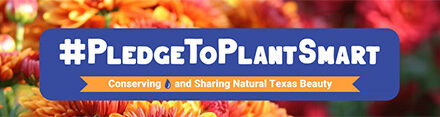 NTMWD Sponsors “Pledge to Plant Smart” Photo Contest