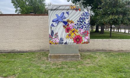 Traffic Signal Box Art Contest Winners Announced   